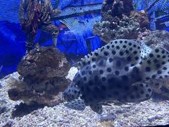 -海合安天津极地海洋公园