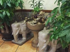 -石头咕(葵蓬店)