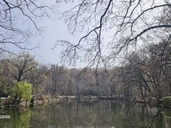 -灵谷景区