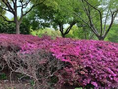 -苏州河梦清园环保主题公园