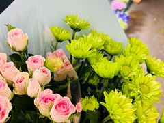 -双季花艺园艺市场(浦东店)