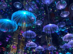 -梵高星空艺术馆(北京旗舰店)