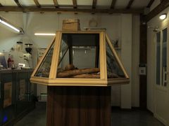-屋裡·Union Bakery(龙江路店)