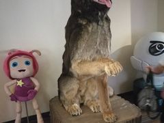 -南宁时代电影大世界(CGS激光中国巨幕)