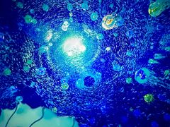 -南戴河国际娱乐中心