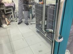 -达爱动物医院·犬猫分区·CT·复杂眼科(远洋山水分院)
