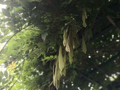 -瓦厂酒店