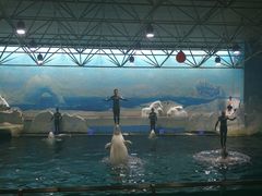 -秦皇岛乐岛海洋王国