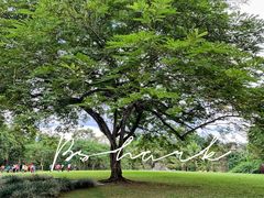 -中国科学院西双版纳热带植物园