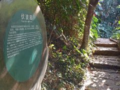 -海南铜鼓岭景区