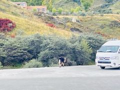 -墨石公园景区