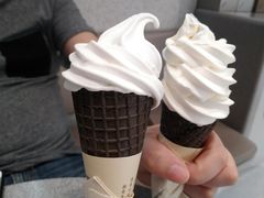 椰椰脆筒-喜茶(广州中山六路店)