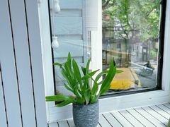 -蝶舍·MAISON PAPILLON