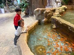 -宝燕乐园(闵行旗舰店)