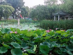 -北陵公园