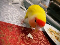 -商都酒店( 北京南站店)