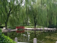 -玲珑塔公园