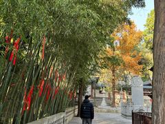 -兴教寺