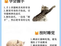 -申普宠物医院·眼科·心内科·影像科(普陀分院)