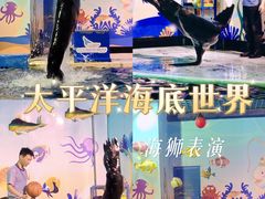 -太平洋海底世界