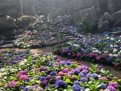 -梭布垭石林景区