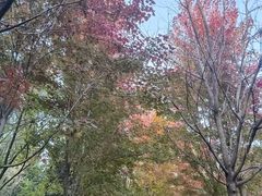 -黑龙江省森林植物园