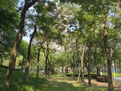 -文华公园(禅城区)