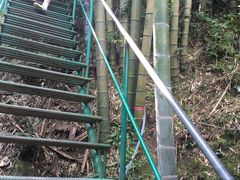 -藏龙百瀑风景区