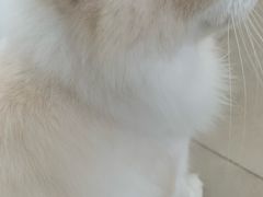 -怪兽屋·羊驼·猫咖·狗咖(俊华广场店)