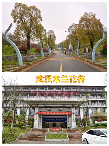 科普、赏花、美食、湖景房,武汉木兰花谷