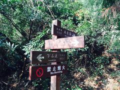 -雁荡山风景名胜区-朝阳洞