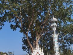 -西双版纳傣族园