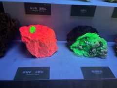 -湖南省地质博物馆