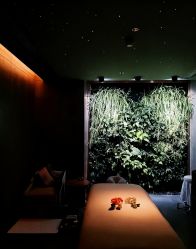 -VELEE·SPA高定疗愈会所