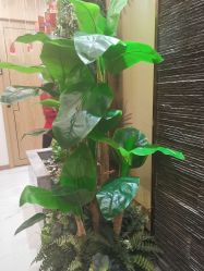 -芳朵美容养生SPA