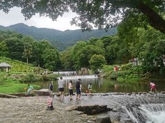 -广州市石门国家森林公园