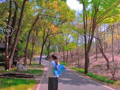 -青龙山国家森林公园