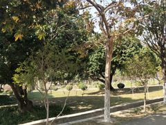 -紫马岭公园