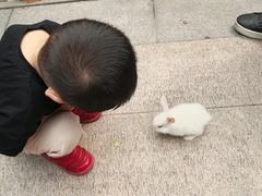 -同里湖大饭店-怡景轩中餐厅(同里古镇店)