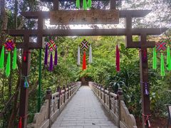 -西双版纳原始森林公园