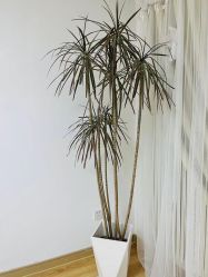 -美肤盾祛痘·问题肌头疗管理中心