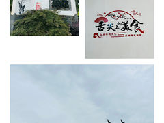 -固始鹅块