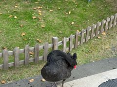 -南京圣和府邸豪华精选酒店