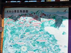 -天女山森林公园