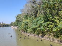 -艾溪湖湿地公园