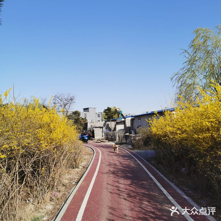 《城市公园》