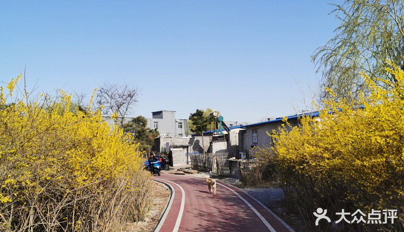 《城市公园》