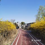 《城市公园》