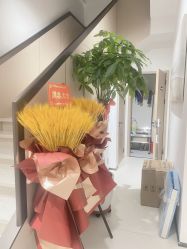 -幼泡泡连锁美容医疗