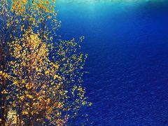 -叠溪松坪沟景区